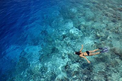 Snorkel in the Fascinating Baa Atoll